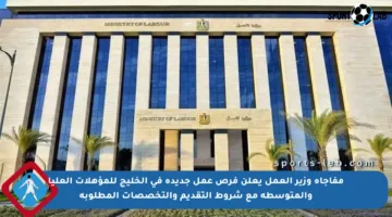 مفاجأة وزير العمل يعلن فرص عمل جديدة في الخليج للمؤهلات العليا والمتوسطة مع شروط التقديم والتخصصات المطلوبة